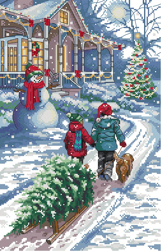 Awesocrafts Cross Stitch Kits, Christmas Snow Scene Easy Patterns Cross Stitching Embroidery Kit Supplies, Counted (Counted)