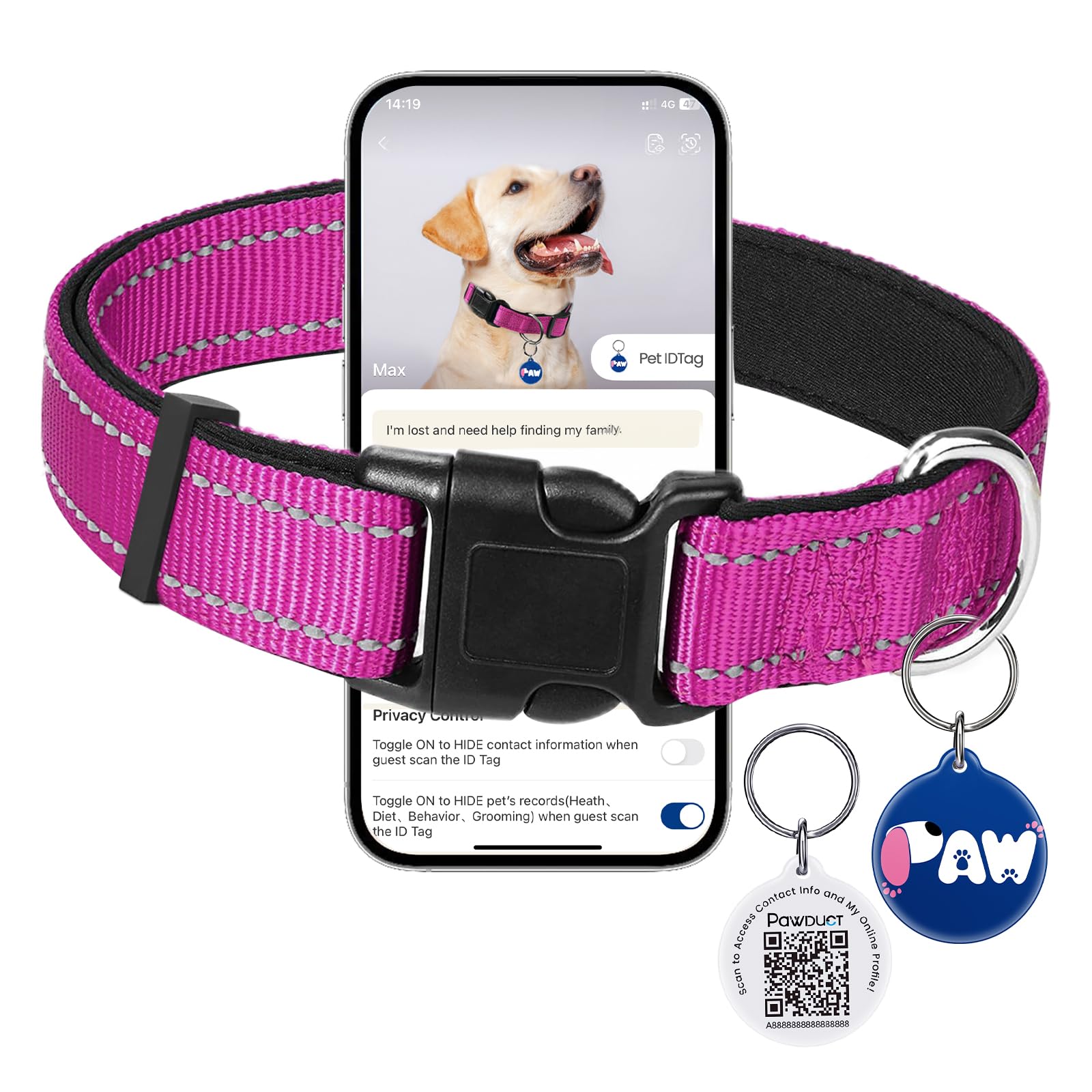 Halsband Hund Verstellbar,Weich Gepolstertes Neopren Nylon Halsband für kleine Hunde und Mittelhunde,mit QR-Code-Hundemarke zur Verlustprävention,(S:2 cm breit, 30–40 cm lang),Magenta