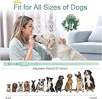 Vista 5 de Bousnic Collar de choque para perros – Collar de entrenamiento eléctrico impermeable recargable con control remoto para perros pequeños, medianos