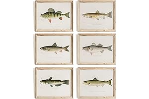 Vintage Fishing Decor: Fish Wall Art Prints for the Angler's Abode
