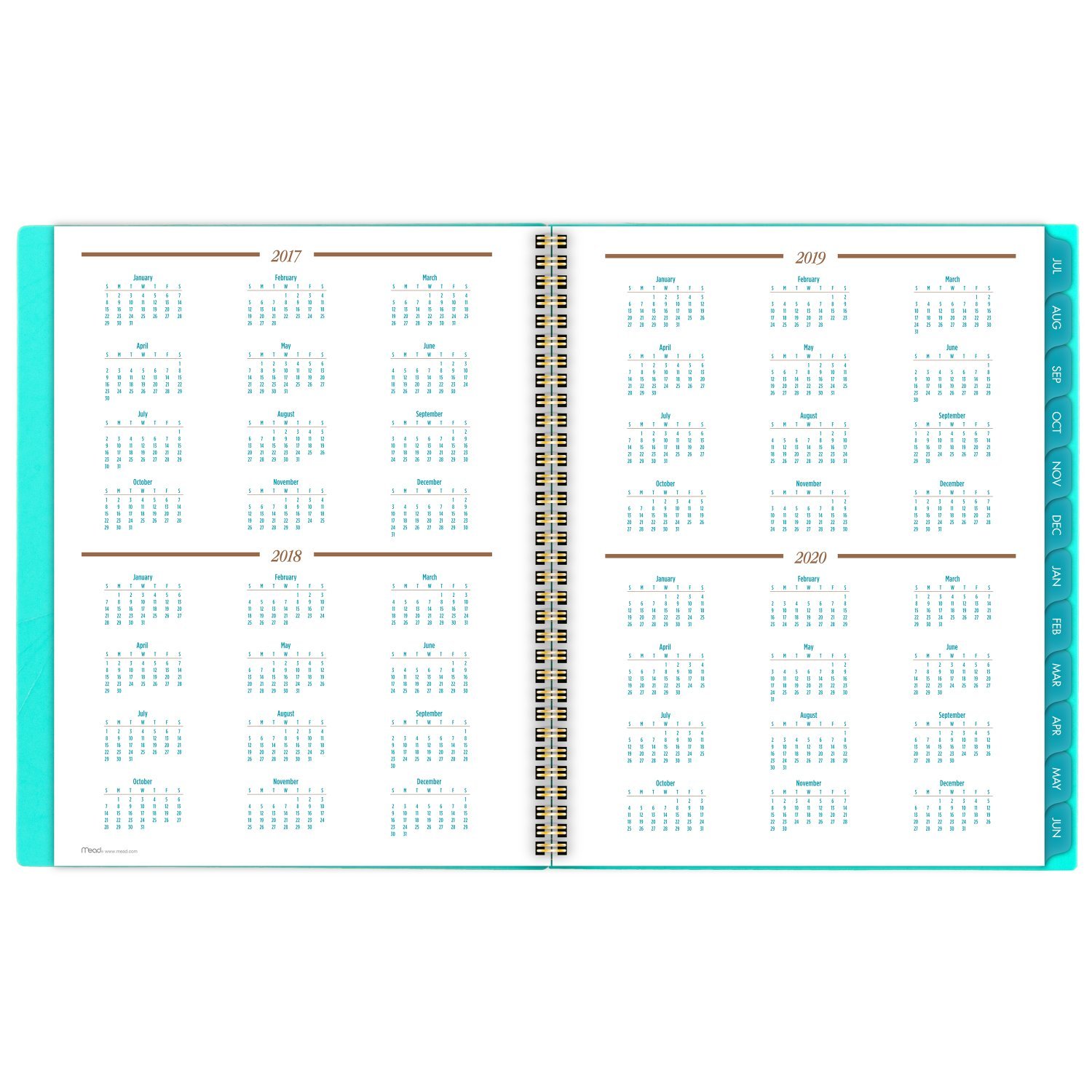 Mead Academic Weekly/Monthly Planner, July 2017 - June 2018, 8-1/2" x 11", Gold & Bold, Design Will Vary (CAW50825)