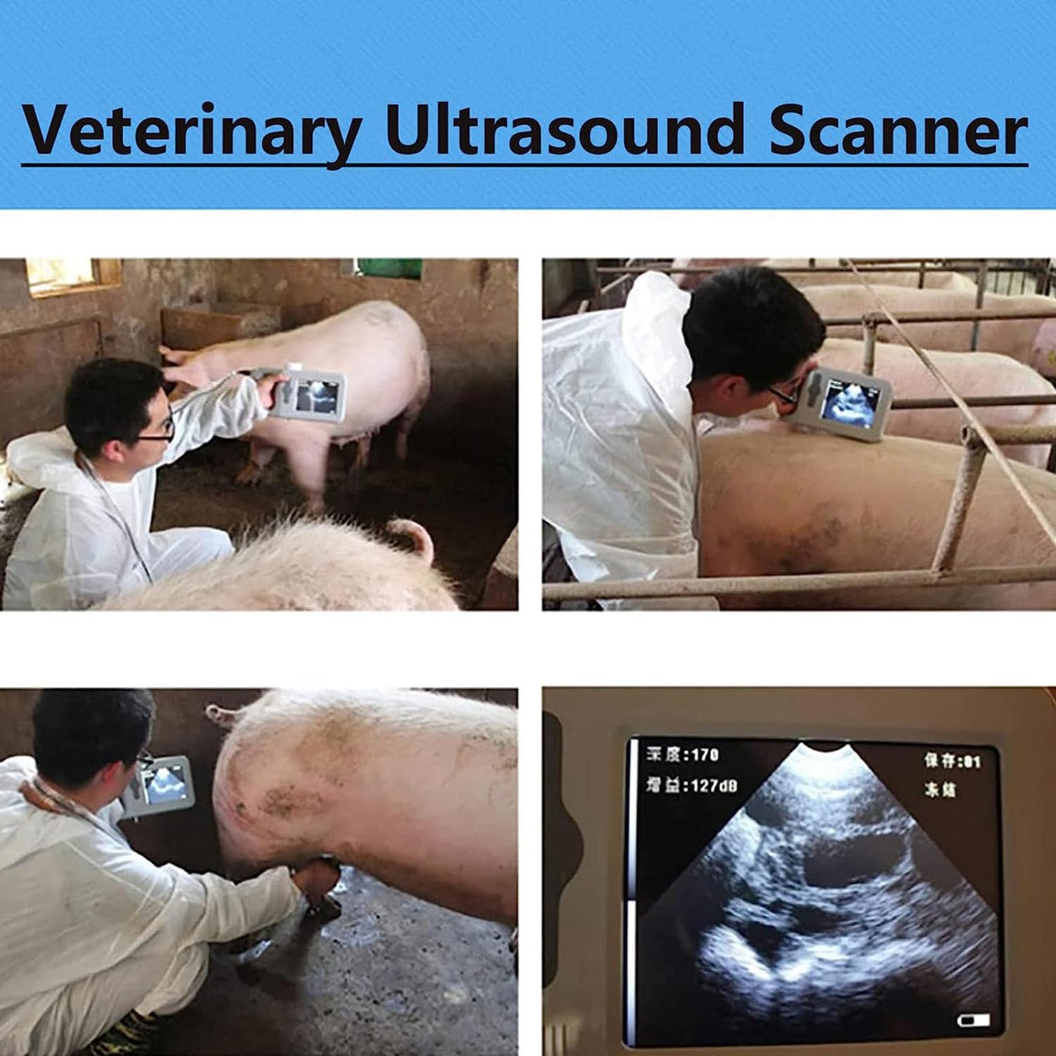 Zestaw ultrasonografu weterynaryjnego, przenośny ultrasonograf weterynaryjny/weterynaryjny/zwierzęcy B z wypukłymi sondami holowniczymi, akumulatorowe urządzenie ultrasonograficzne