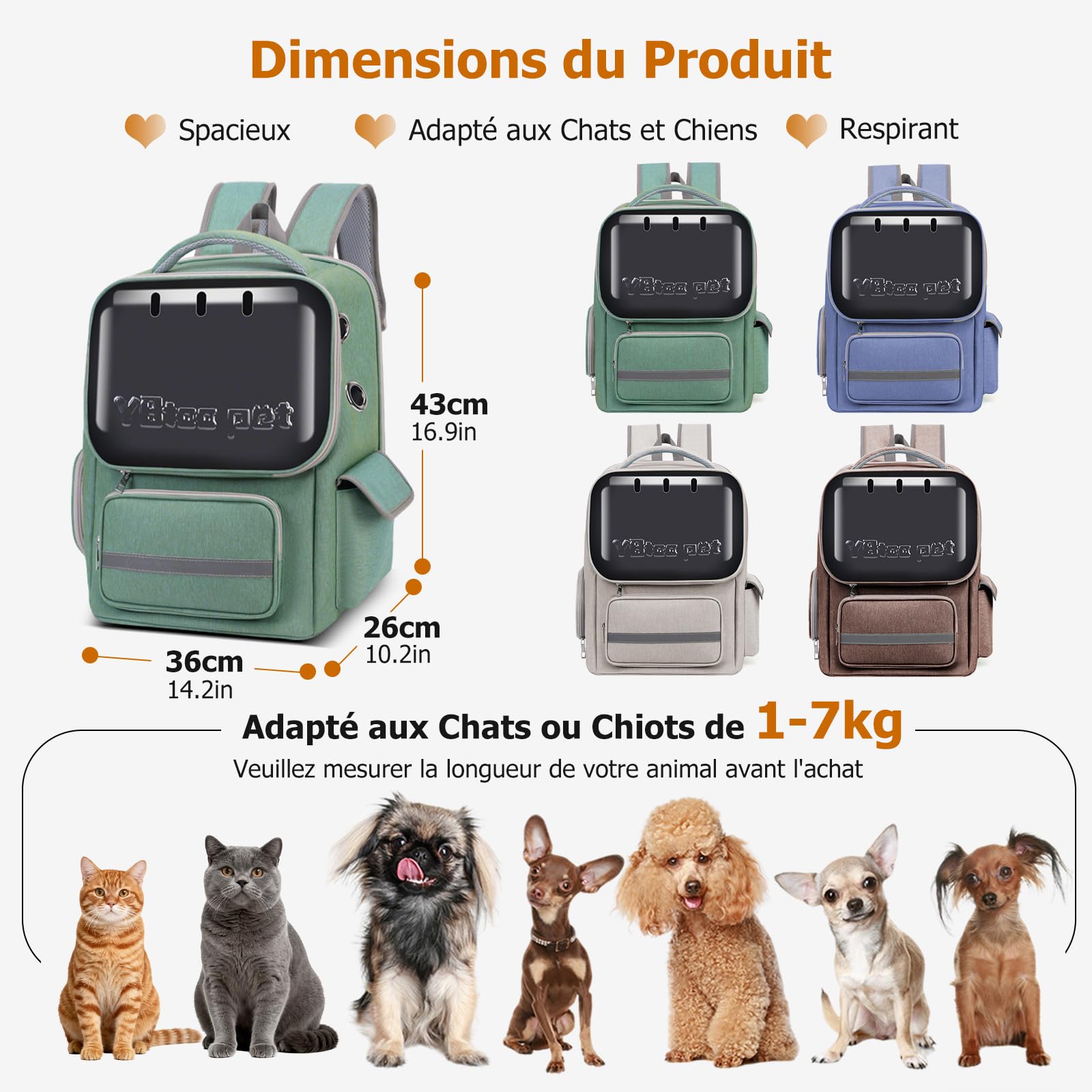 PETCUTE Sac à Dos de Transport pour Chat, Sac à Dos Respirant pour Petits Chats et Chiens avec Tapis Amovible, Réfléchissant,Sacs de Transport pour Chat avec Sangle de Sécurité Intérieure,Vert