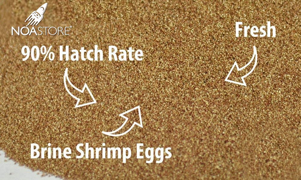 Huevos De Artemia (camarón De Salmuera) 100 G, Alta Calidad, Para Peces Betta, Cíclidos, Killis