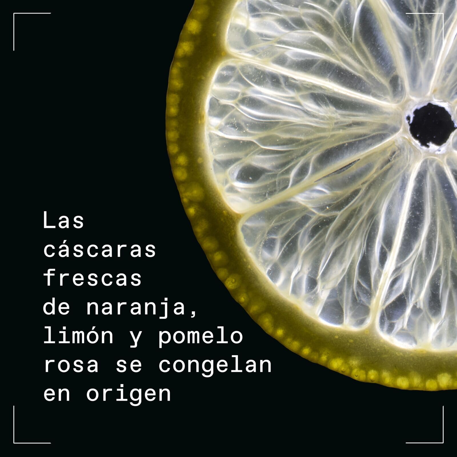 OXLEY Small Batch Premium Gin, destilada en frío, 47% vol., 70 cl