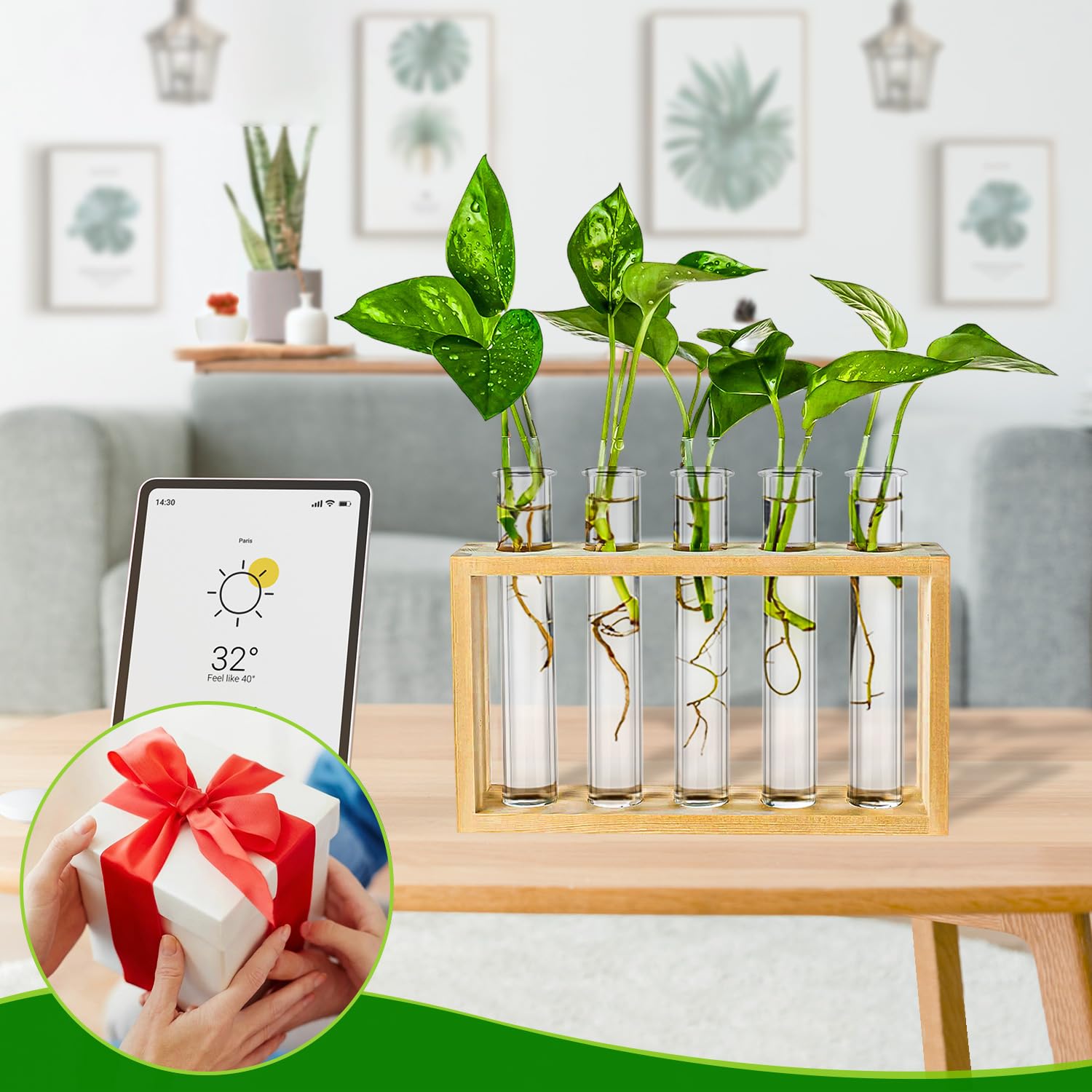 10 tubos de ensayo transparentes para propagación de plantas, tubo de laboratorio de prueba de 20 ml para experimentos científicos pruebas de muestras, tubo de ensayo de fondo redondo para decoración