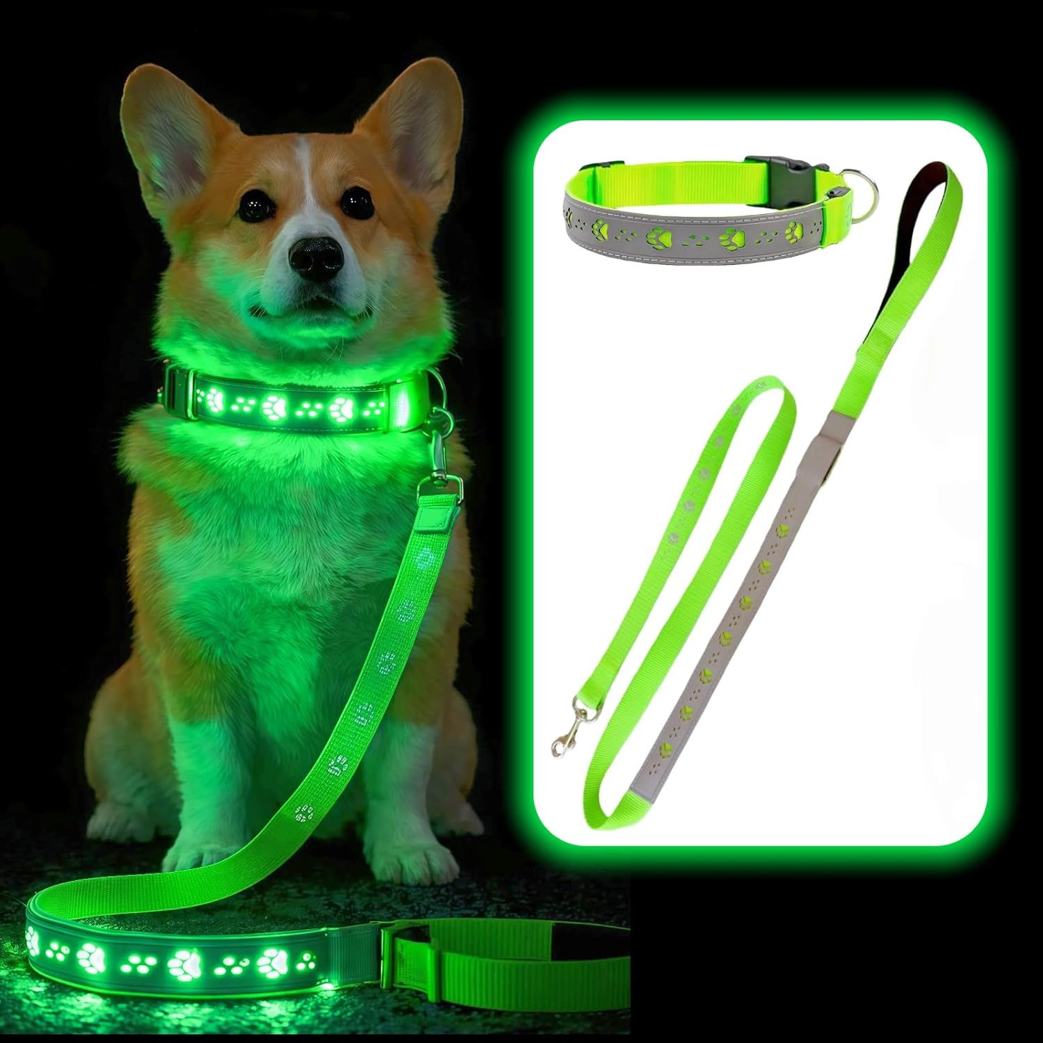 Light Up Dog Collar and Leash Set, 5FT Glow in The Dark Night Walking Safety Gear, USB-C Rechargeable LED Pet Leash with Collar, Waterproof & Reflective for Small Medium Large Dogs (Green, M)