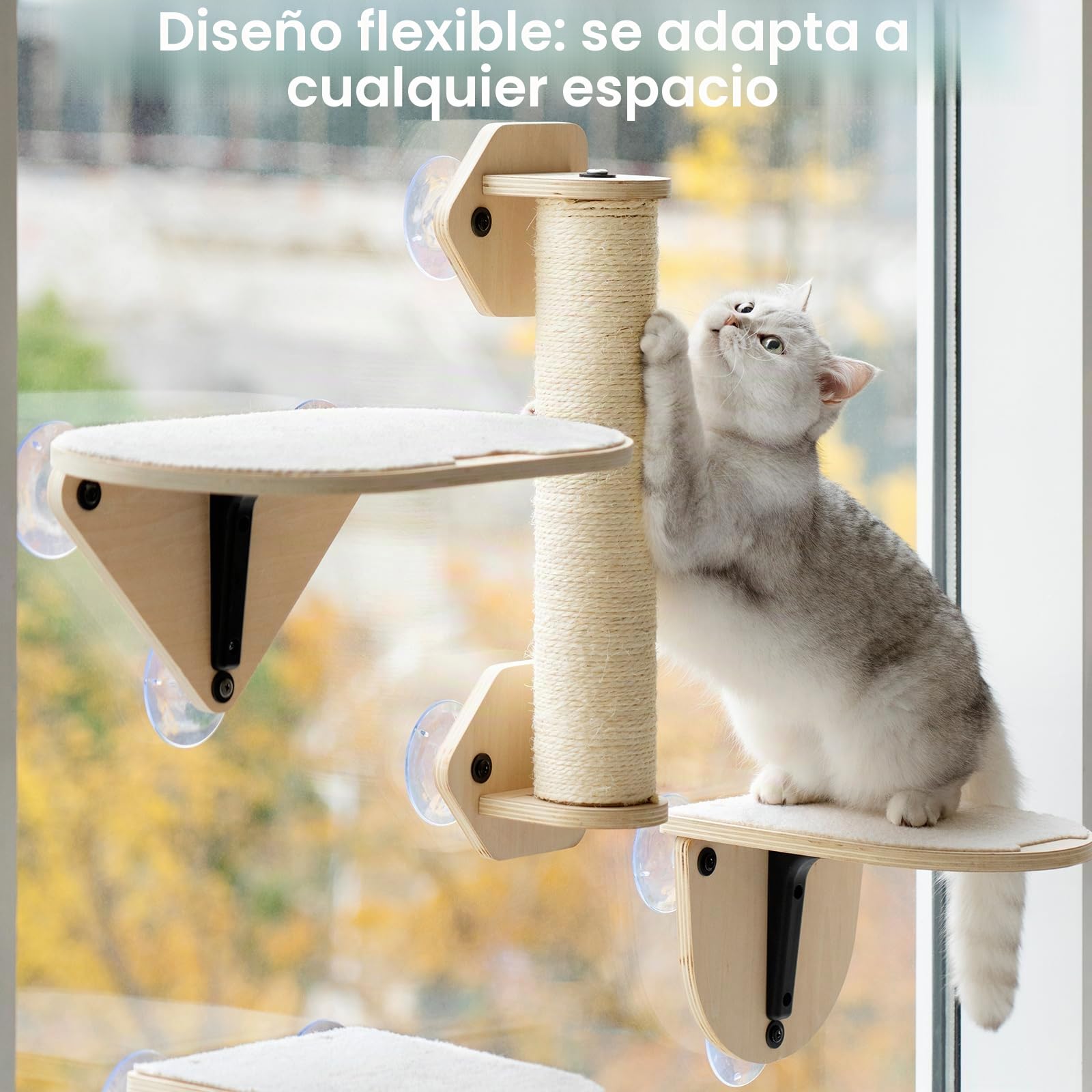 EDAGNY Percha De Madera para Ventana para Gatos con Potentes Ventosas- 3Pcs Set