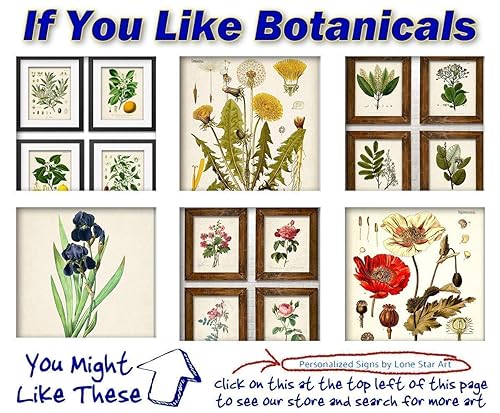 Miniatura 7 de Kitchen Botanicals Illustrations - Set of 4 8x10 Unframed Art Prints - Great Kitchen and Dining Room Decor and Gift for Gardeners Under $15