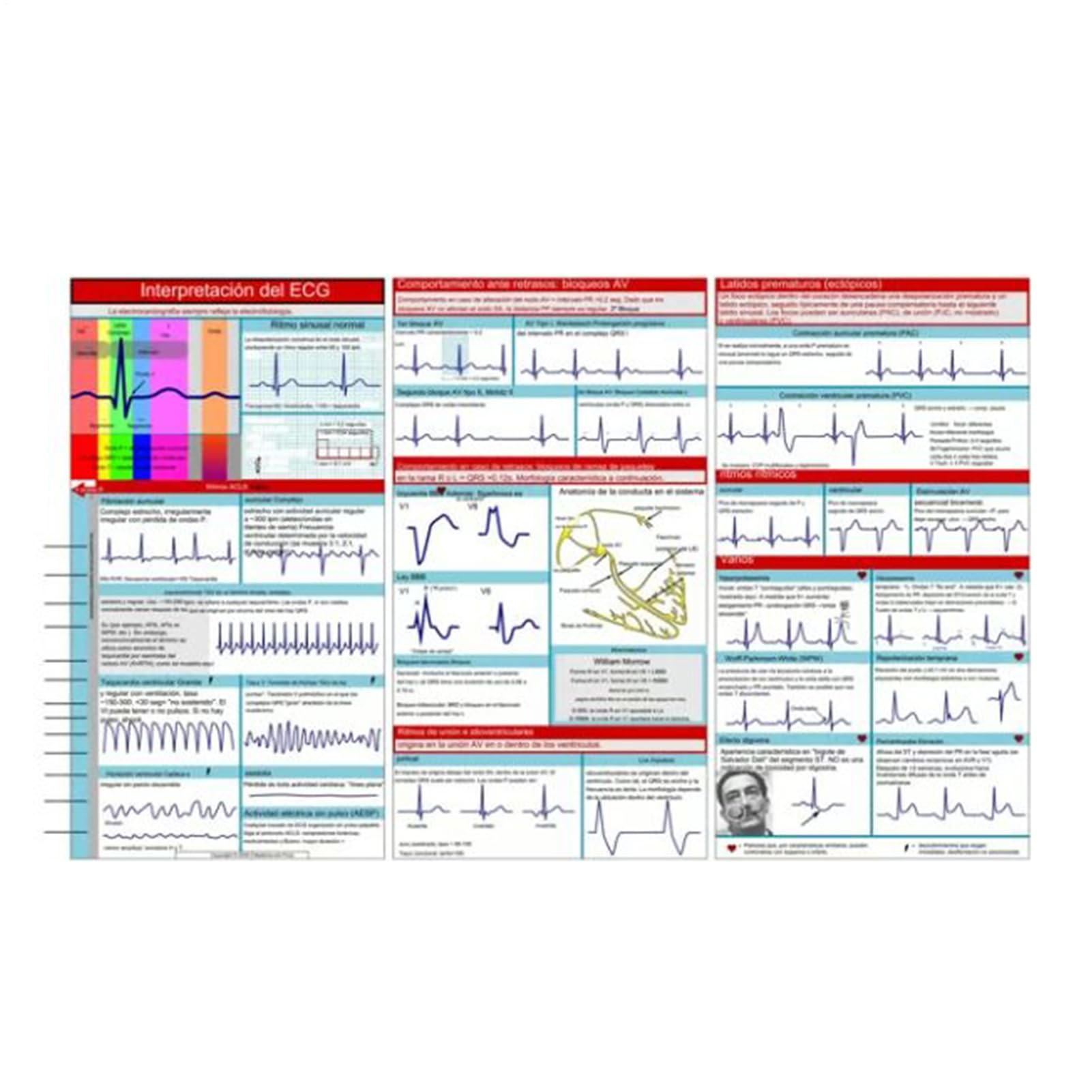 EKG Pocket Guide, Ecg Pocket Card, EKG Rhythmus Interpretation, Double Sided Compact & Portable Reference Card, Sanitäter Flash Cards, Rapid Interpretation EKG Pocket Nurses Guide
