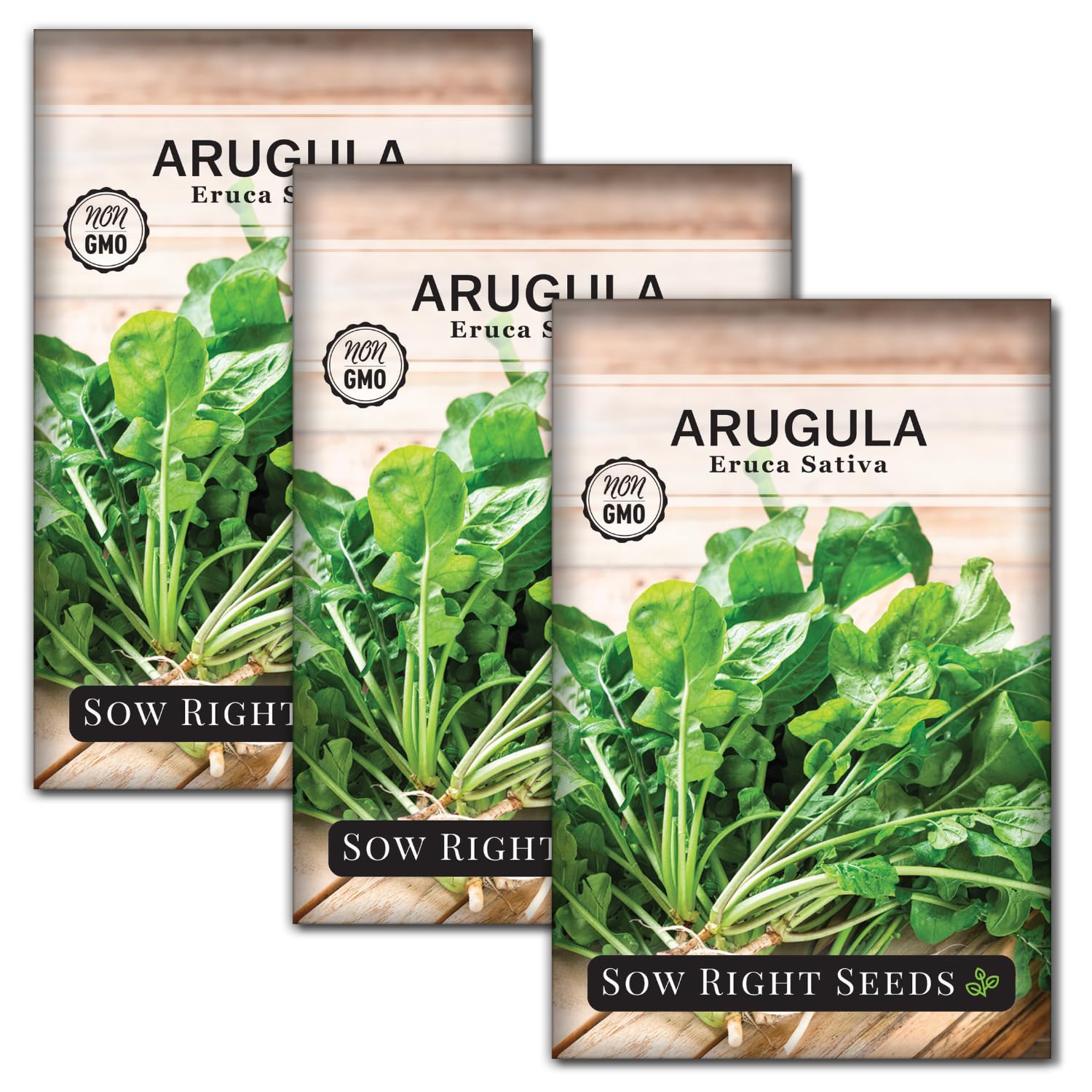 Sow Right Seeds - Arugula Seeds for Planting - Non-GMO Heirloom Seeds with Instructions to Plant a Home Vegetable Garden - Indoors, Hydroponics or Outdoors - Salad Greens - Grow Kitchen Herbs (3)