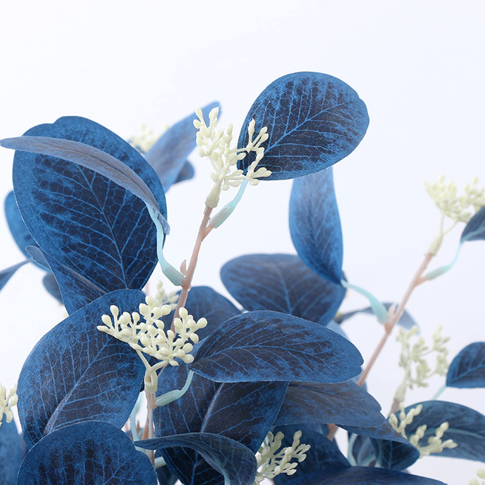 Eucalyptus gunnii France Blue - Gomboom kopen? | Het Groene Paradijs