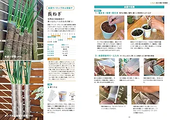 傘袋でジッパー袋で! 最高においしい野菜が1年中、楽しく作れる