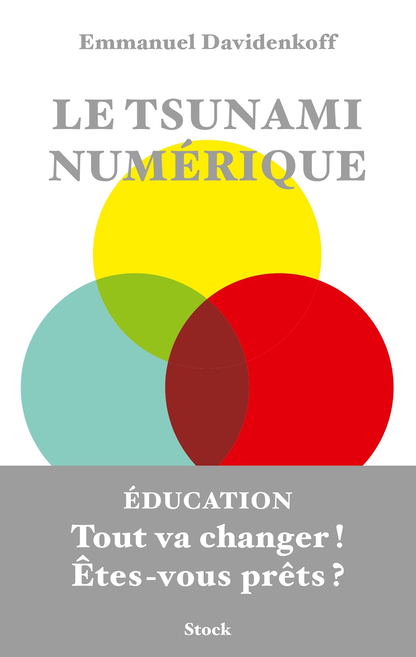 Le tsunami numérique (French Edition)