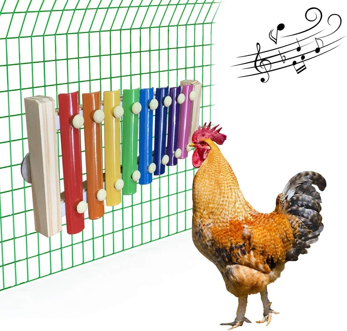 Chicken Xylophone with Wing Nuts