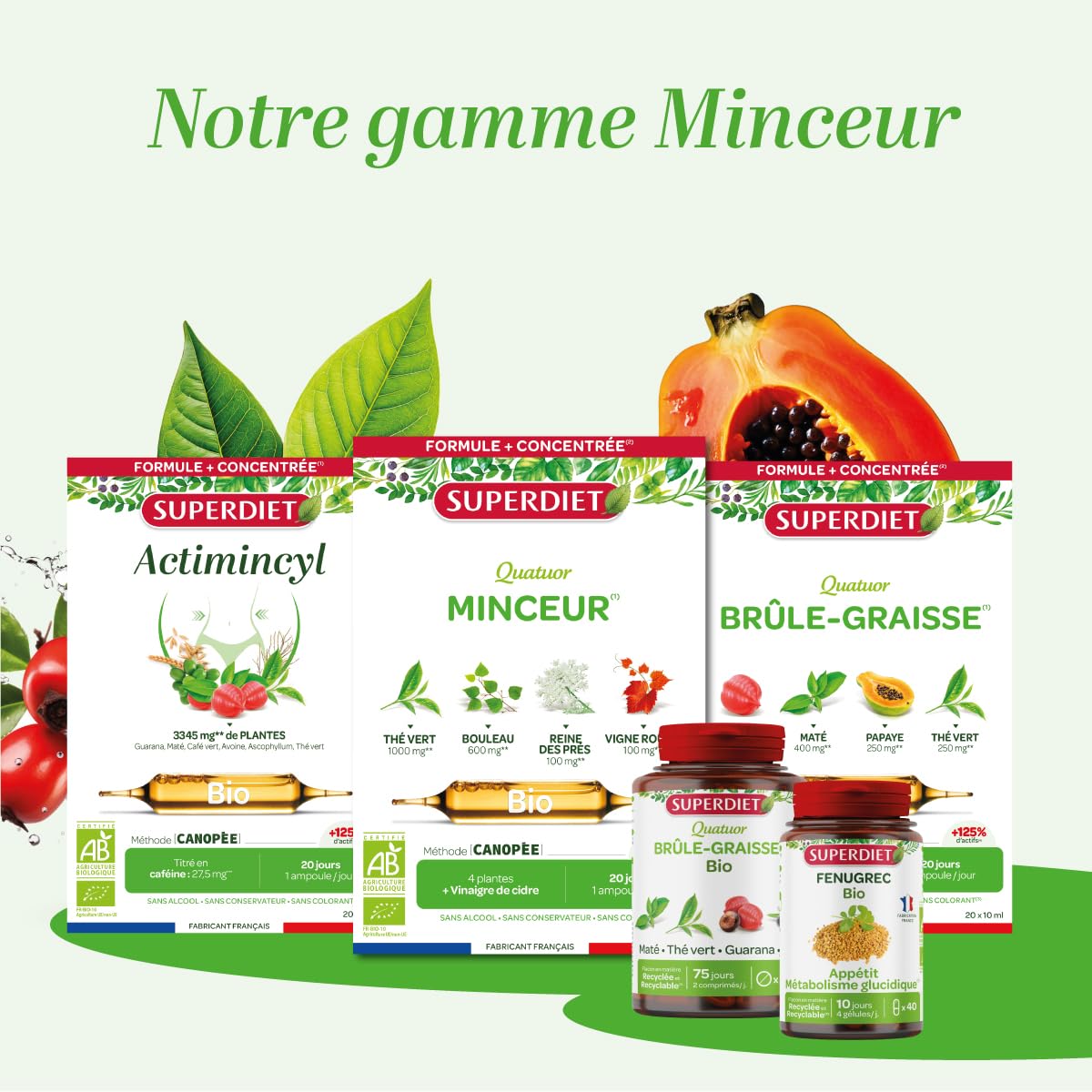 Comprimés D'extrait De Thé Vert 1000 Mg – Antioxydant Puissant, Aide Au Métabolisme Et à La Perte De Graisse | Green Labs Nutrition