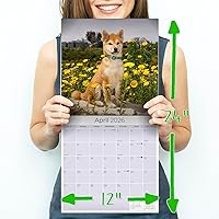 Vista 394 de Razas de Perros 2017