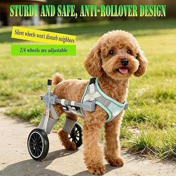 Dog Wheelchair for Back Legs, Adjustable 2/4-Wheel Dog Wheelchair with Leg Brace and Hip Support, Designed Specifically for Senior and Disabled Dogs to Help Them Walk Better.