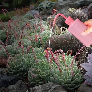 thumbnail: Jorzer 2x Tattoo Wasfles 500ml - Plastic Knijpflessen Met Maatverdeling Voor Tatoeages En Planten Watergeven
