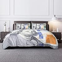 Vista 2 de Pardick Juego de edredón tamaño Queen con billetes de 100 dólares, ultra suave, juego de edredón ligero para todas las estaciones, fundas