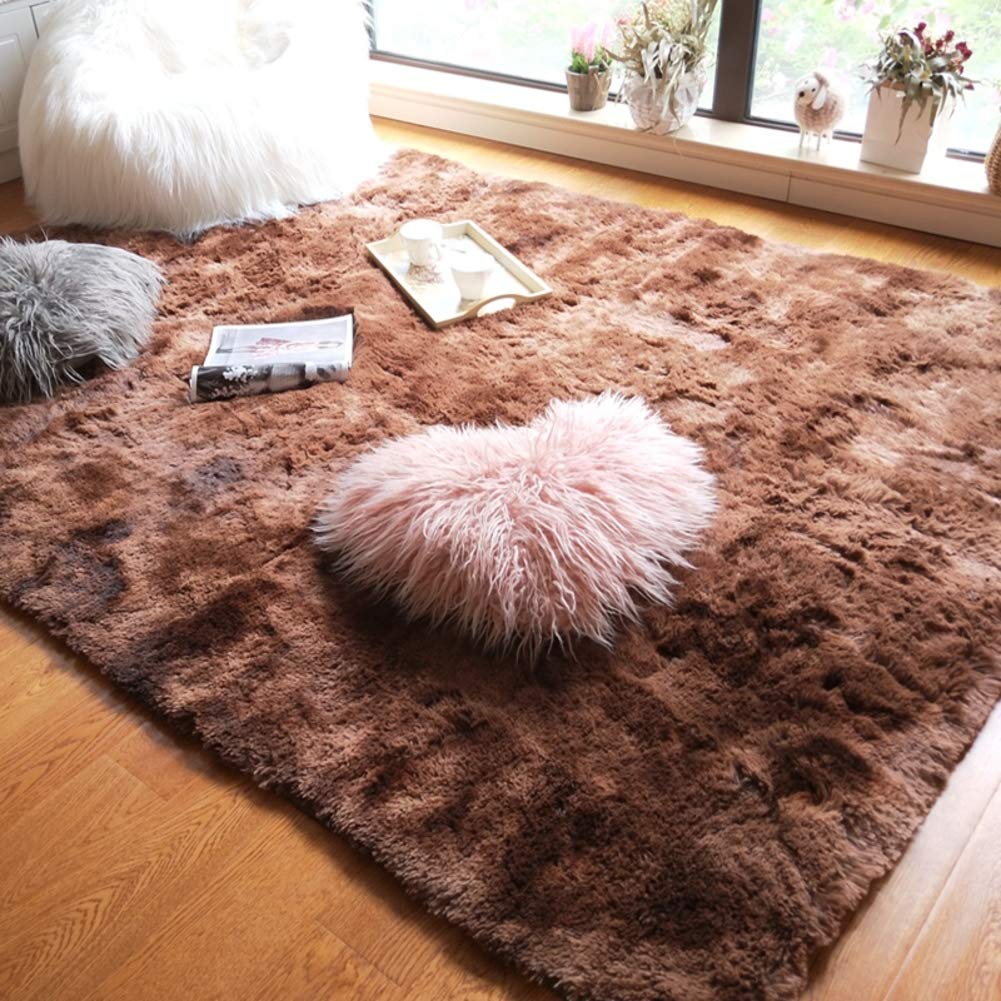 Tapis intérieur shaggy et long de 120x200cm pour salon