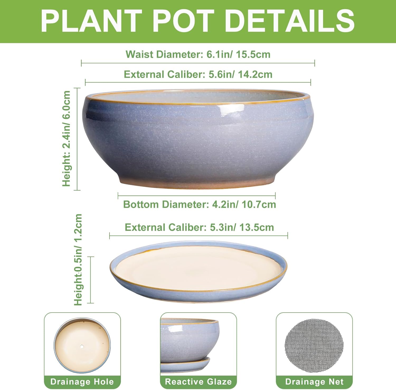 SQOWL Bonsai Tree Pots Small - 6 Inch Ceramic Succulent Planters with Drainage Hole and Saucer, Shallow Pot for Indoor Outdoor, Round Cactus Planters, Living Room Decor, Gifts for Plant Lover, Blue
