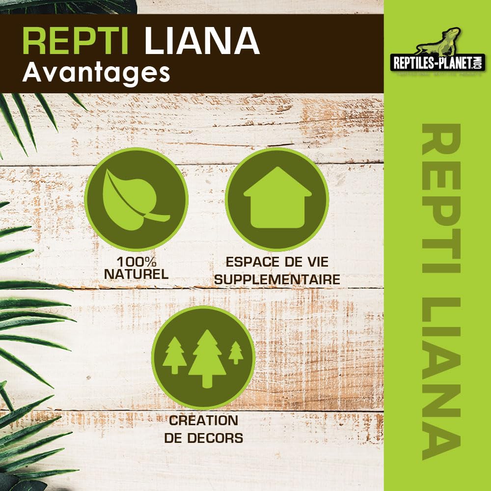 REPTILES PLANET - Repti Liana - Décoration pour Terrarium - 125 cm
