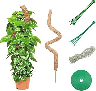 Moss Pole for Indoor Plants Climbing Support, 1Pcs 45 Inches / 114 CM Coir Totem Pole with Green Ties and Hemp Rope, Coir Moss Stick for Cheese Plants, Monstera, Creepers, Pothos & Money Plants.