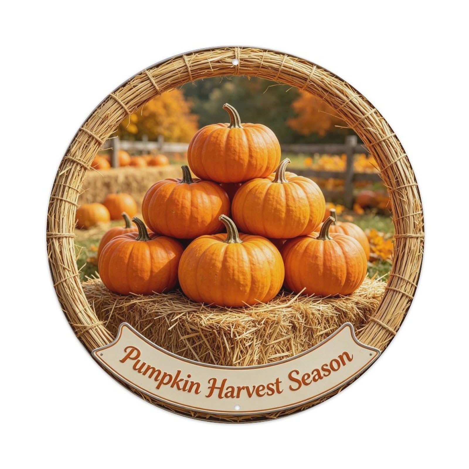 Pumpkin Harvest Season Metal Tin Sign Plaque