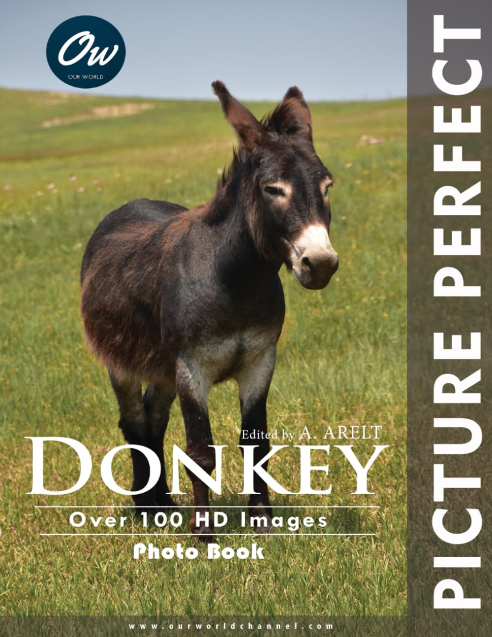Donkey: Picture Perfect Photo Book