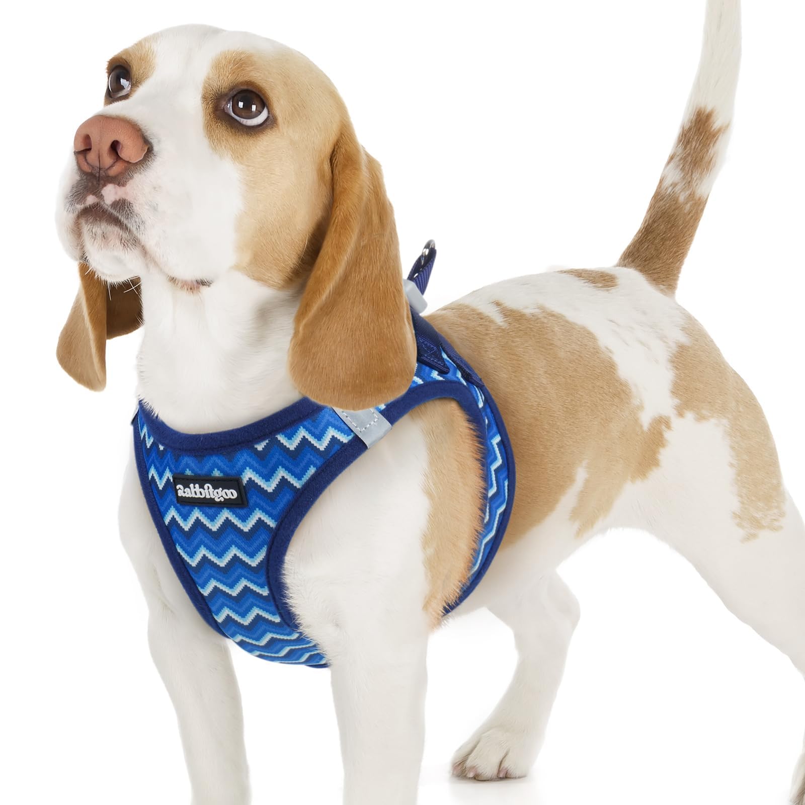 rabbitgoo Dog Harness Small Dog, Step-in Soft Mesh Puppy Harness with Reflective Strips, Lightweight Breathable Pet Vest for Walking Training, Blue Zigzag, M