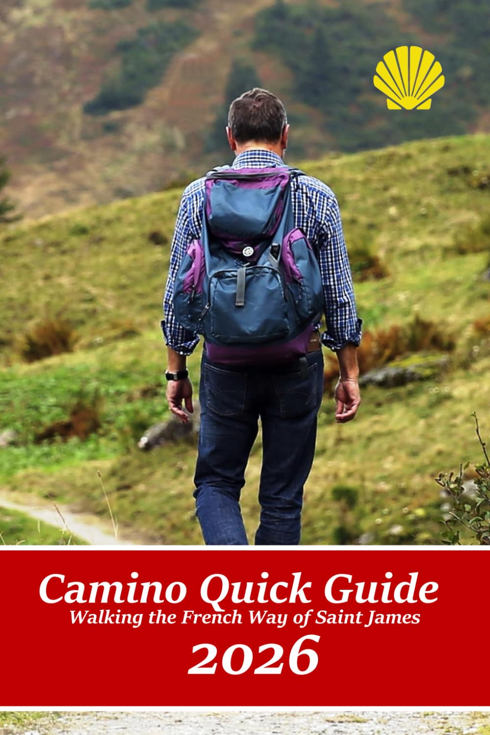 Camino Quick Guide. Walking the Way of Saint James: Services & accommodations for pilgrims to Santiago, a book to plan the stages.: 1 (Guidebook Year 2020)