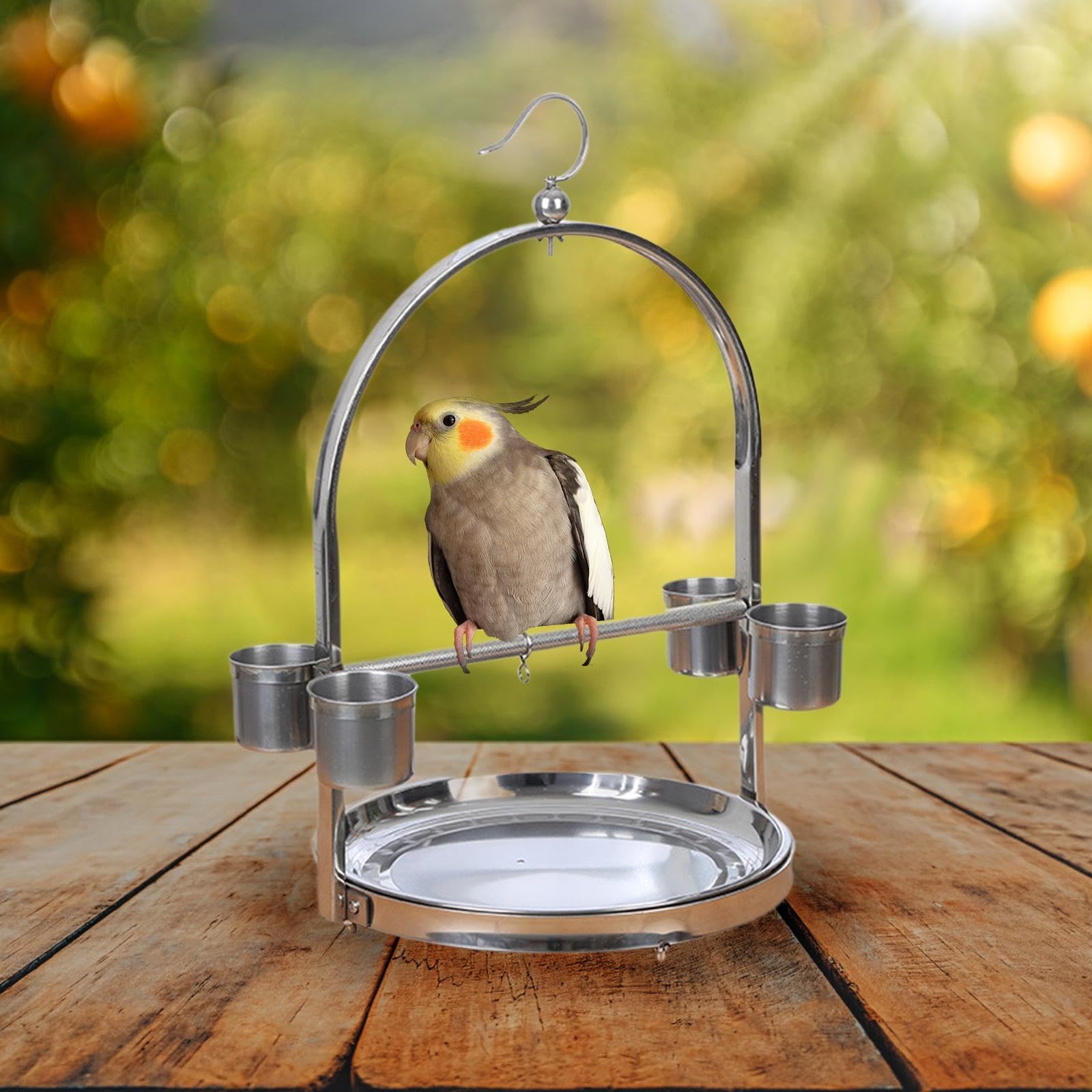 El Soporte de Juego de Percha para pájaros de Acero Inoxidable CREA un lúdico y Proporciona un Amplio Espacio para Las Aves Mascotas. Fácil, Plata, 36x60 centímetros