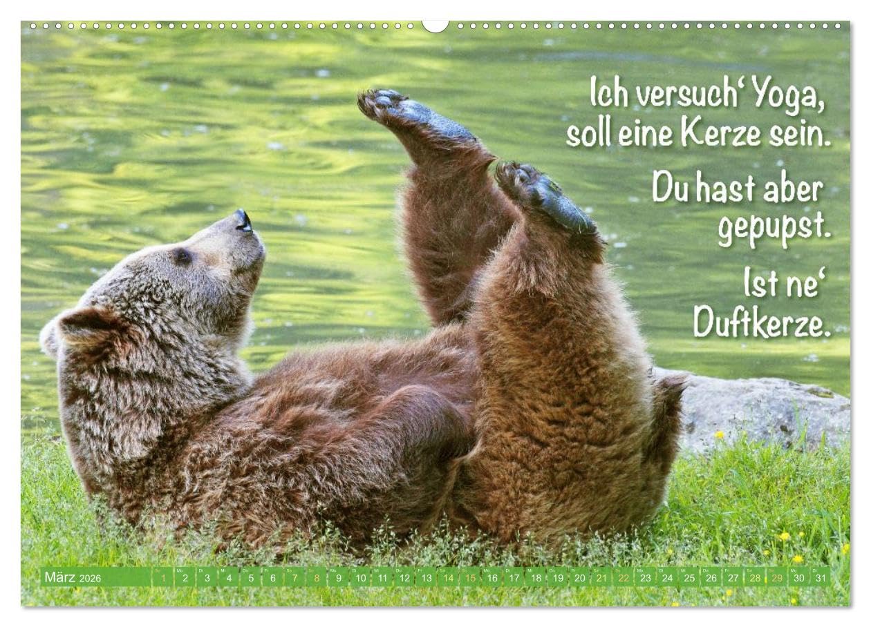 Spaß mit Bären: Edition lustige Tiere (Wandkalender 2026 DIN A2 quer), CALVENDO Monatskalender: Bären: Meister Petz, freche Sprüche und humorvolle Tierporträts (CALVENDO Tiere)