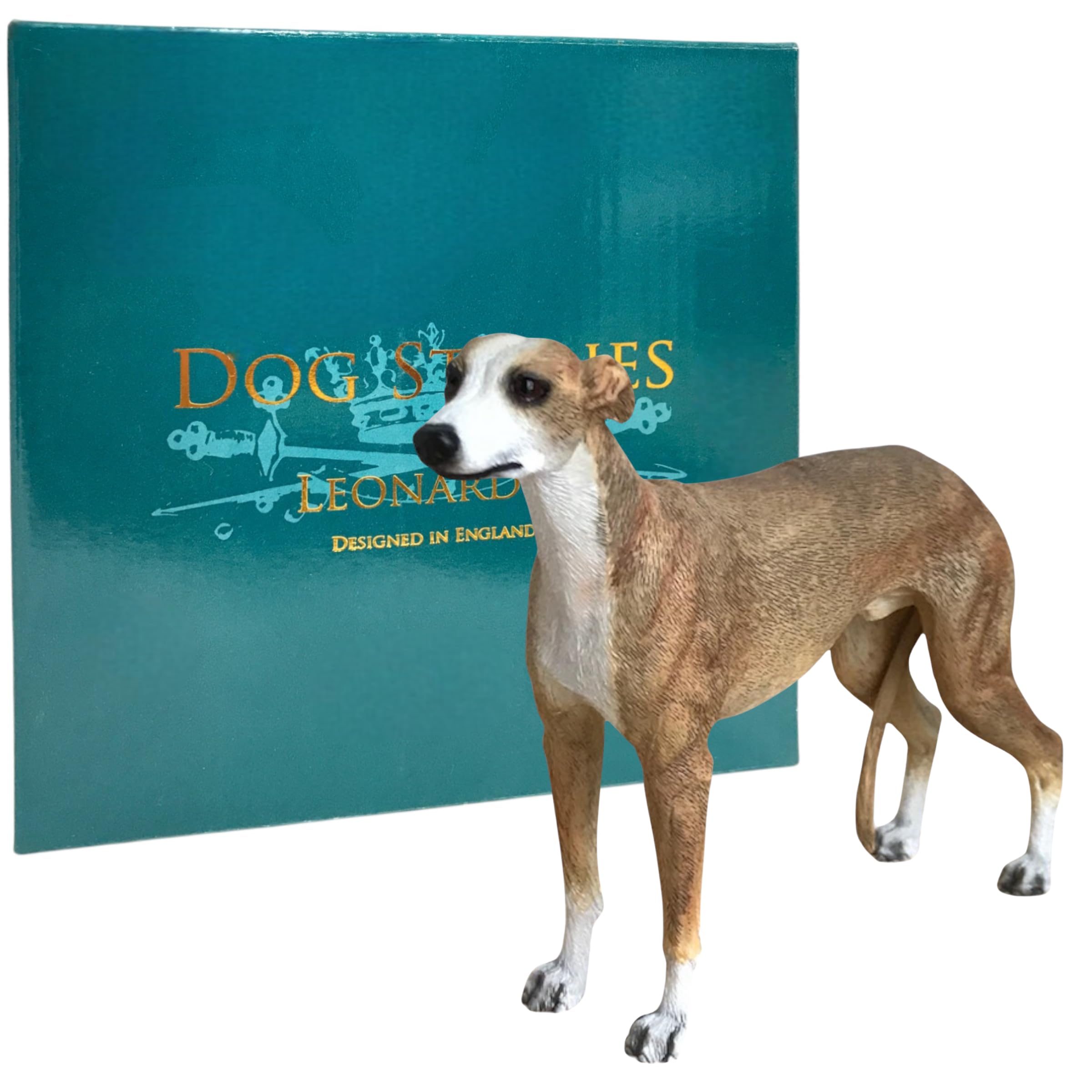 Animal Crackers Realistic standing Brown & White Greyhound Dog figurine from the Dog Studies range, in coloured gift box, great dog lover collectible gift