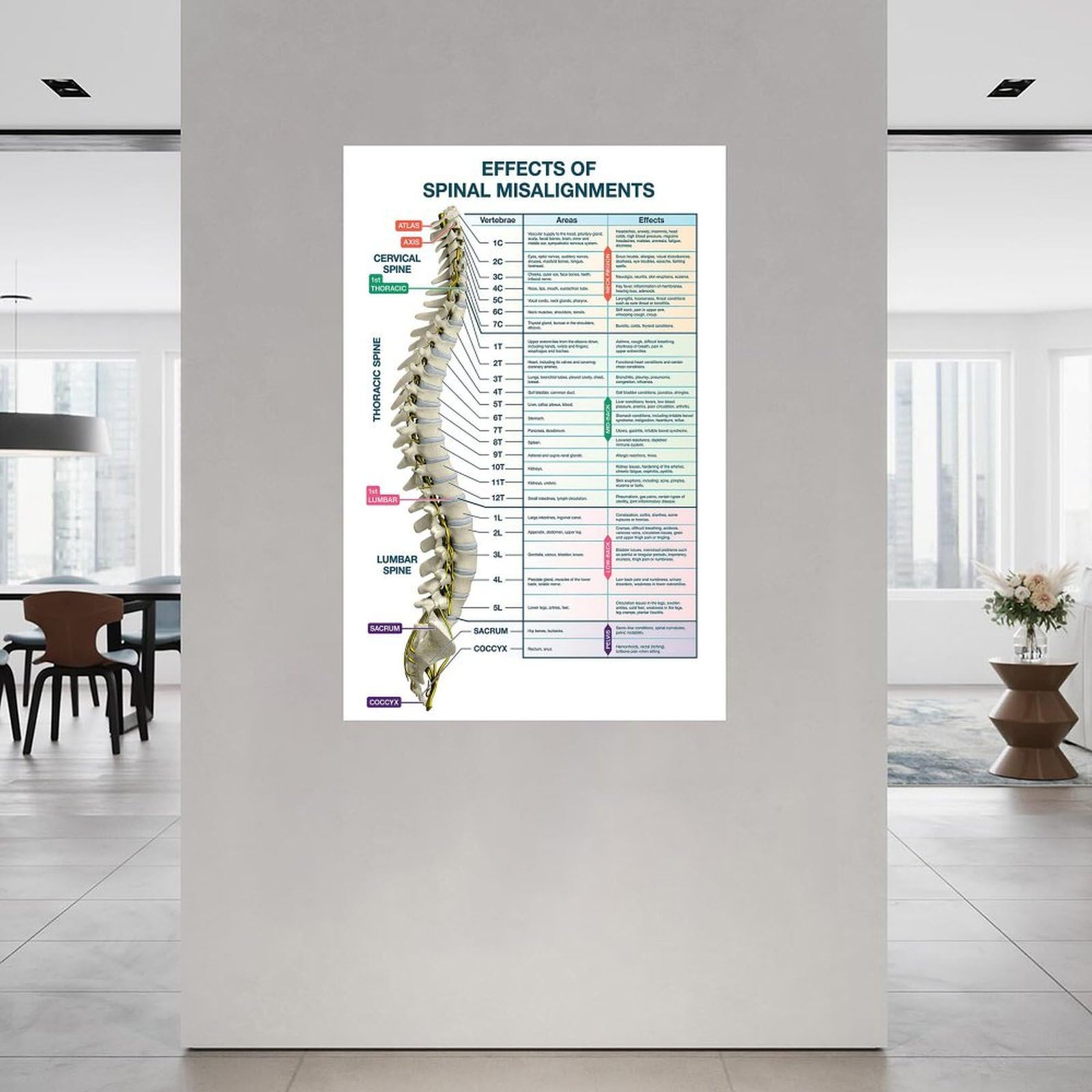 Spinal Nerve Chart With Effects Of Vertebral Subluxations