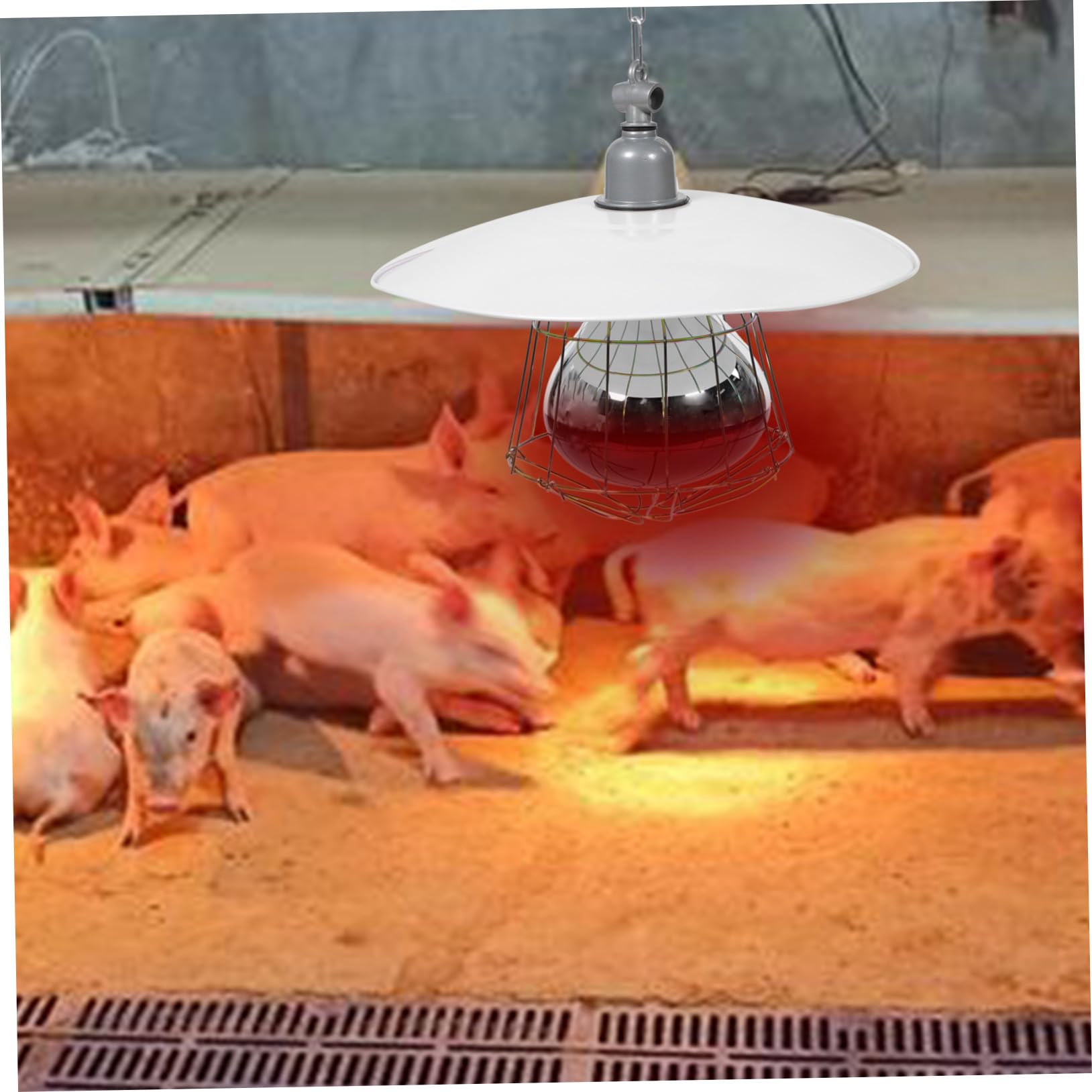 Lampada Riscaldante Colore Casuale Alta Sicurezza e Resistente Coprilampada in Metallo e Alluminio per Bestiame per Gabbie di Animali Domestici e Suinetti