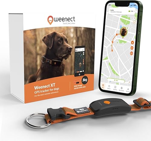 Weenect Dog XT - Nuevo collar GPS para perros  Antena XL  Impermeable  Collar Julius-K9 integrado ultra duradero  Requiere suscripción