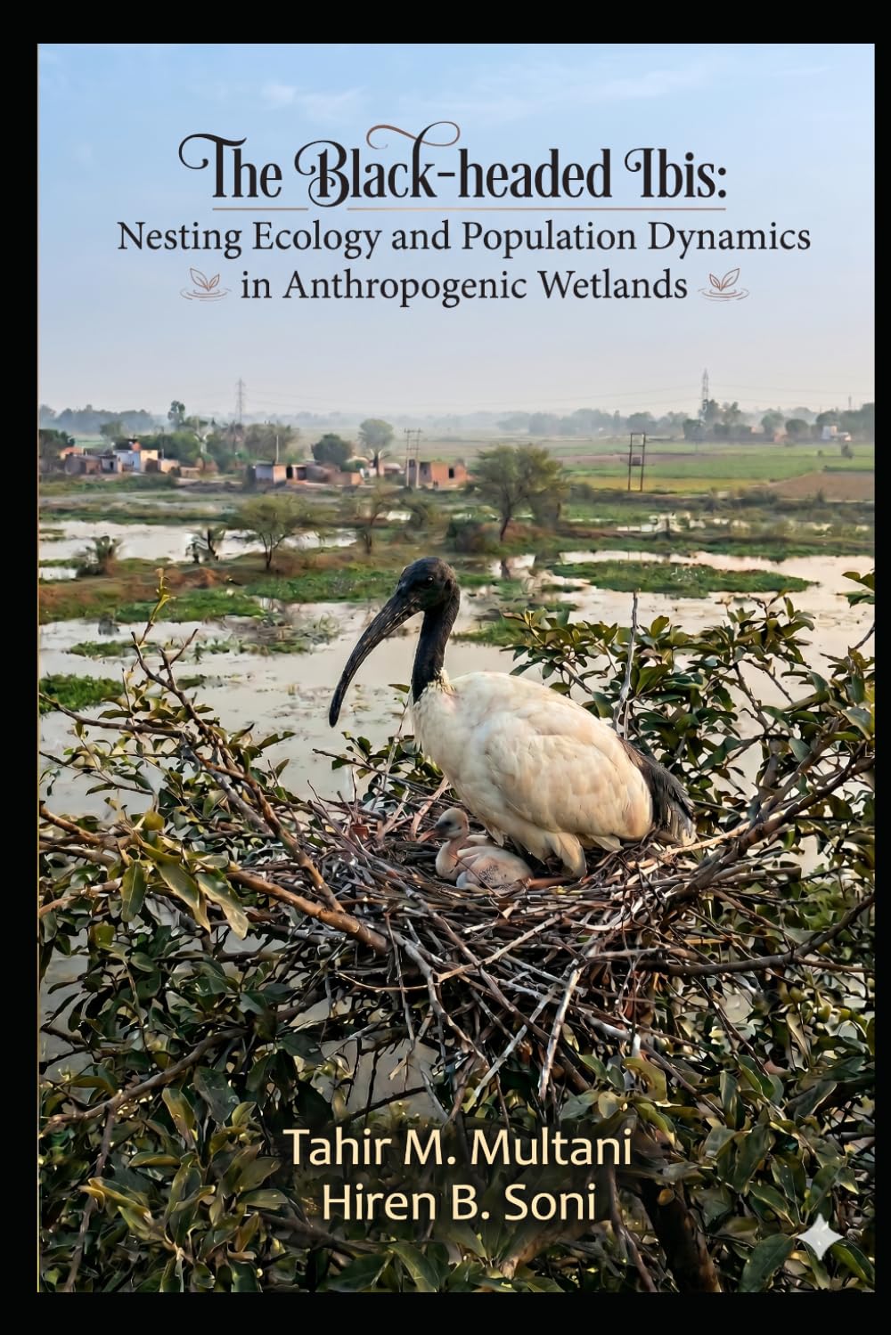 The Black-headed Ibis: Nesting Ecology and Population Dynamics in Anthropogenic Wetlands
