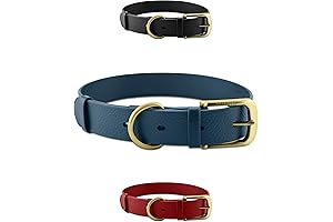 Tuff Pupper Classic Buckle Dog Collar for Medium Dogs
