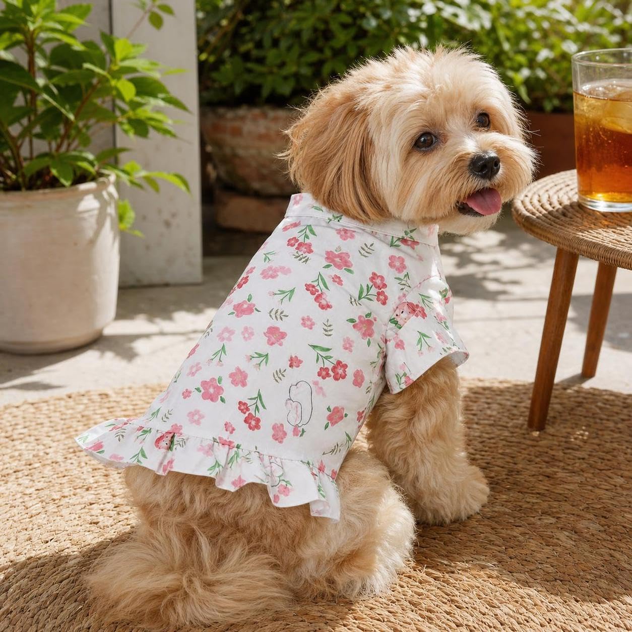 Kleid für kleine bis mittelgroße Hunde, Atmsaktives Prinzessin Kleid für Frühling und Sommer, für besondere Anlässe, Gelb mit Ananas, Gelb, S (empfohlen 14-17,5 kg)