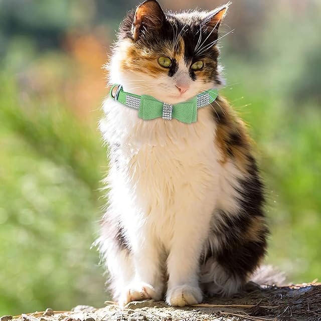 Foto 6 de 7 de Collar de Perro con Juego de Correa Collares y Correas para Mascotas Ajustable Perro Gato Rhinestone Bowknot…