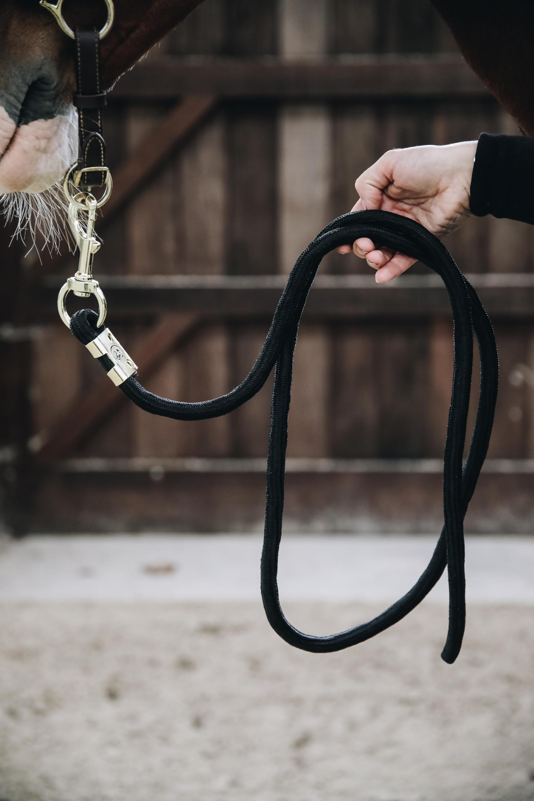 Kentucky Horsewear Lead Rope Basic Karabiner Farbe: schwarz