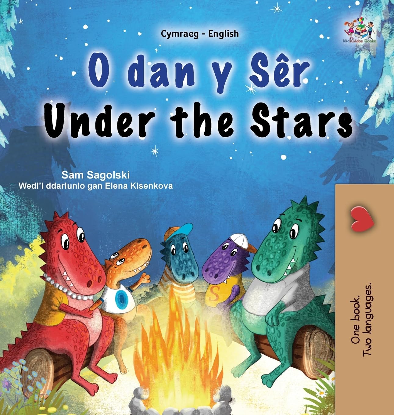 Under the Stars (Welsh English Bilingual Kids Book) (Welsh English Bilingual Collection)