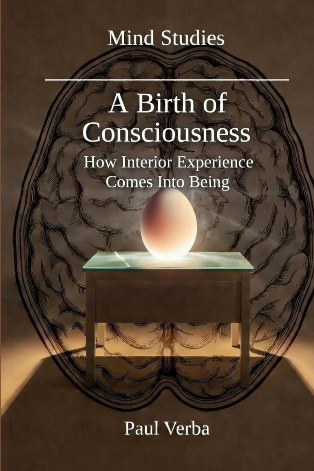 A Birth of Consciousness: How Interior Experience Comes Into Being (Mind Studies)