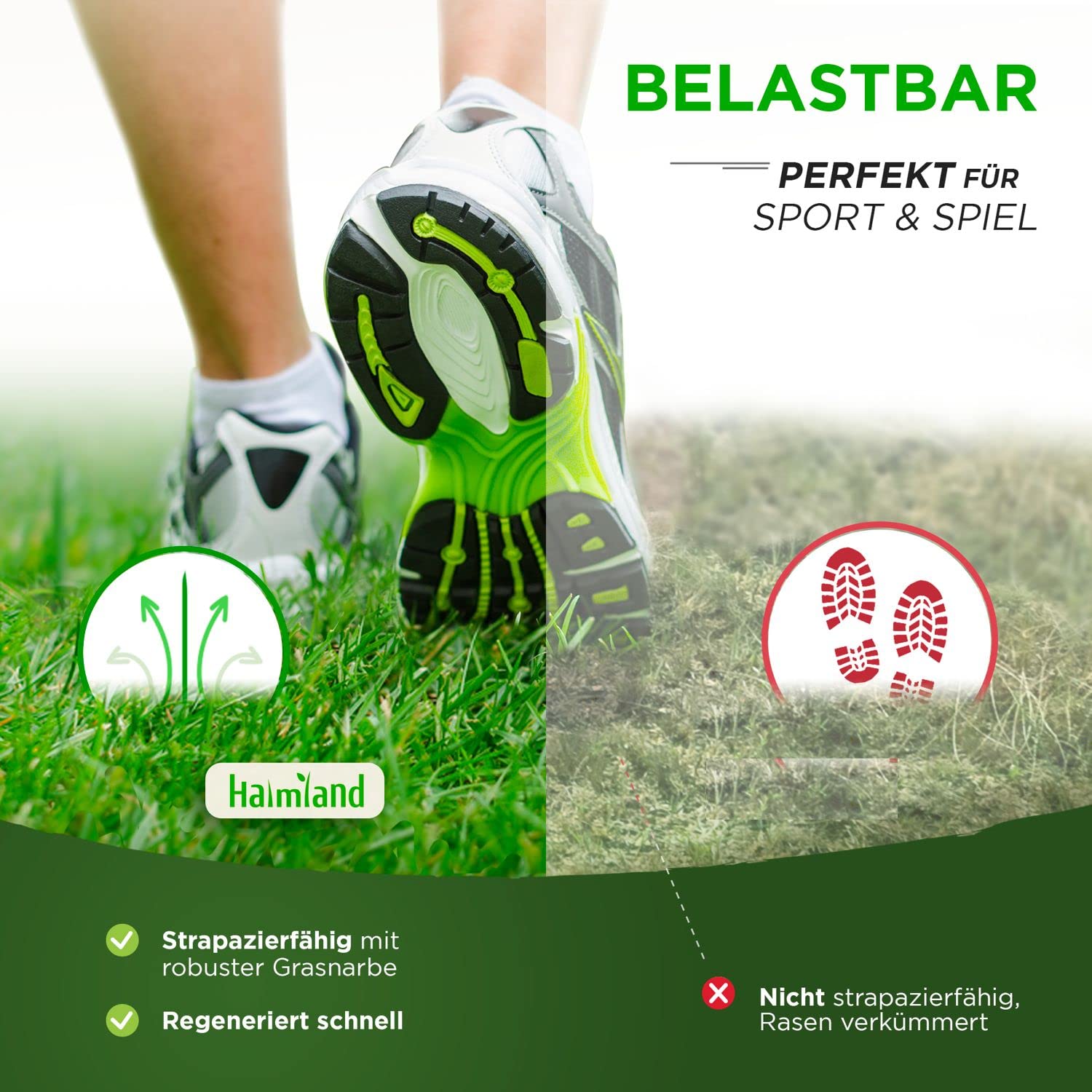 Premium Rasensamen schnellkeimend 10kg = 400m² | Sommer Sport und Spiel Rasen - SEHR GUT getestet - Grassamen trockenresistent | Ideal für Rasensaat und Nachsaat