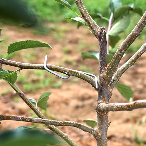KAFENDA Herramienta de plantación de árboles frutales, esparcidor de ramas, dispositivo de extracción de ramas para apoyar ramas para cultivar