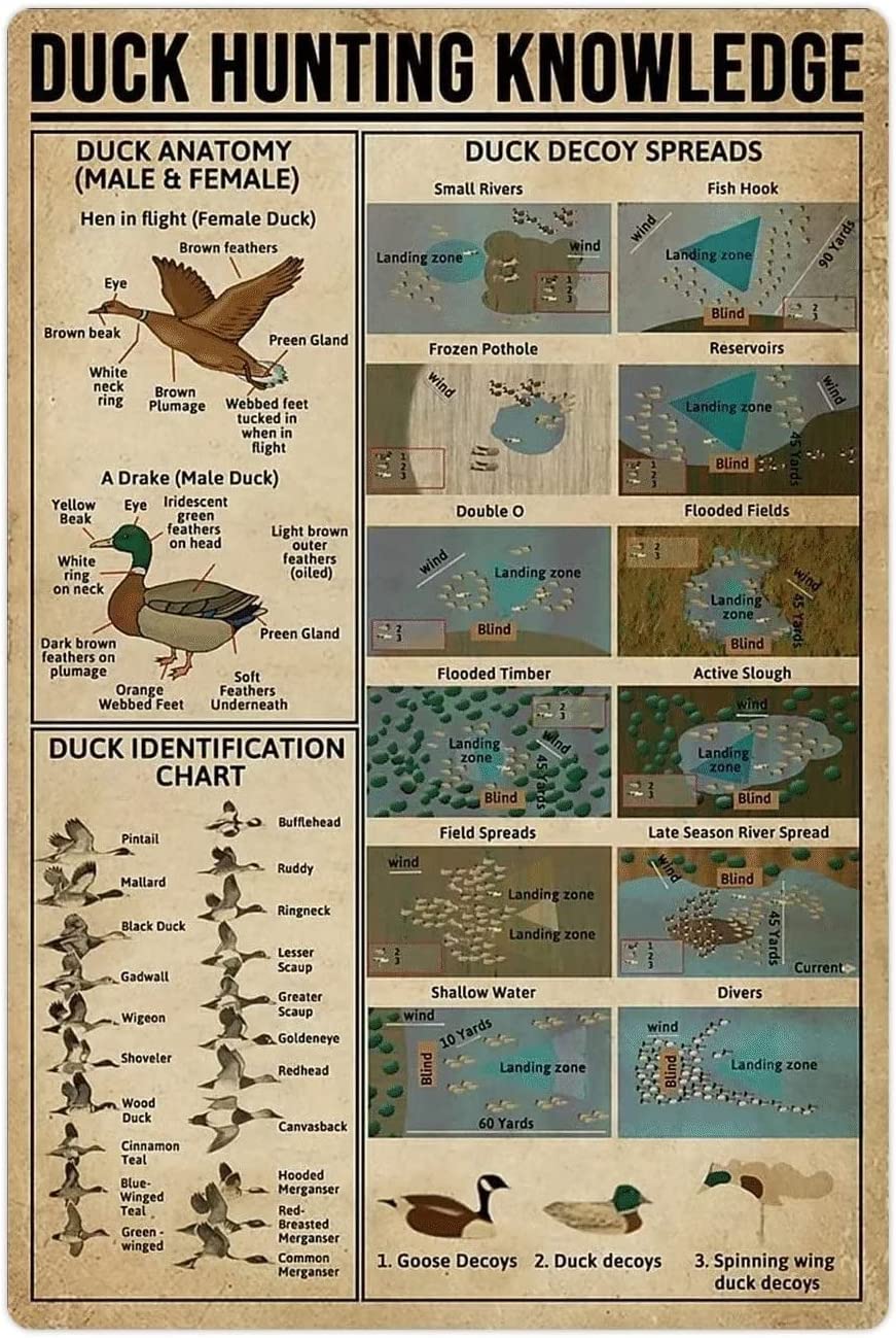 rayprint Retro Plaques Duck Hunting Knowledge Metal Tin Signs Duck Infographic Posters Wall Decor Farmer's Guide Home Farmhouse Farm es 12x16inch