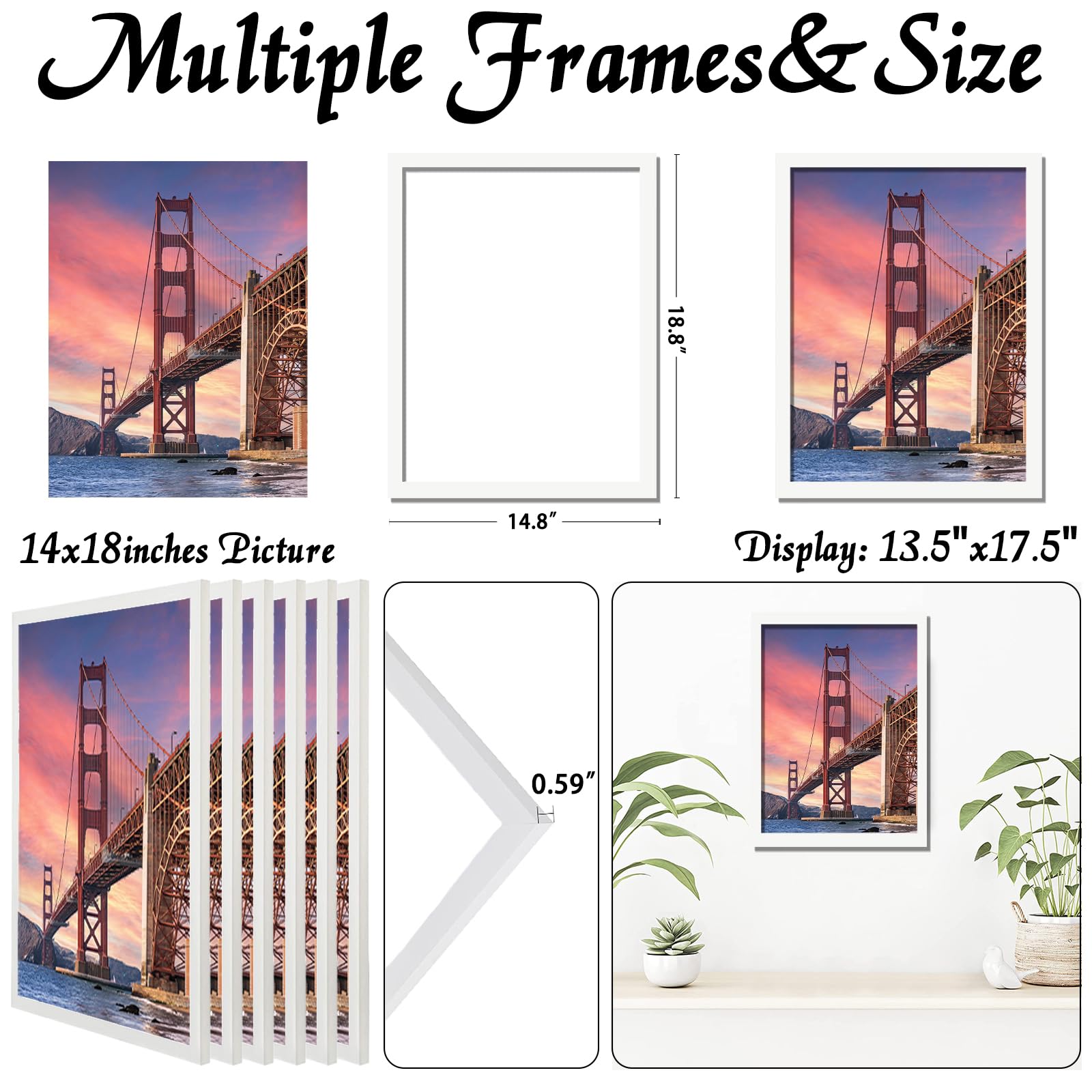 https://m.media-amazon.com/images/I/71sk87M+EZL.jpg