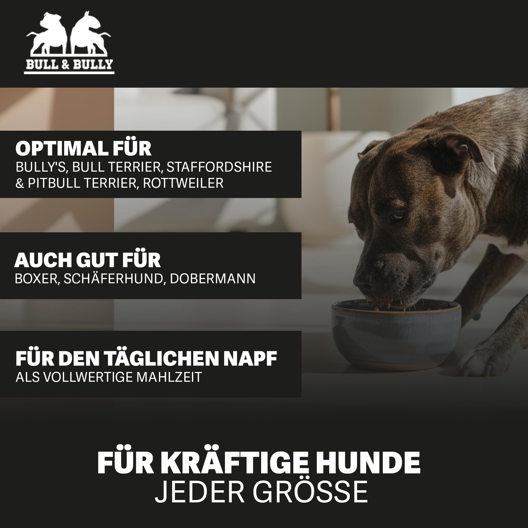 Hundefutter Nass 800g 12x Fleischmahlzeit Wild, Reis mit Beeren | Tierärzten entwickeltes Hunde Nassfutter Premium Wet Dog Food mit hohem Fleischanteil für aktive Hunde von BULL & BULLY